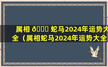 属相 💐 蛇马2024年运势大全（属相蛇马2024年运势大全及运程）